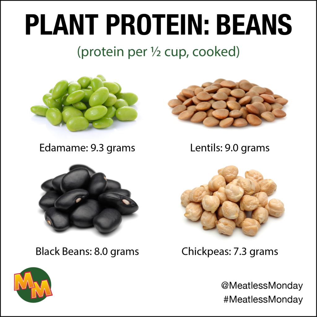 plant protein beans