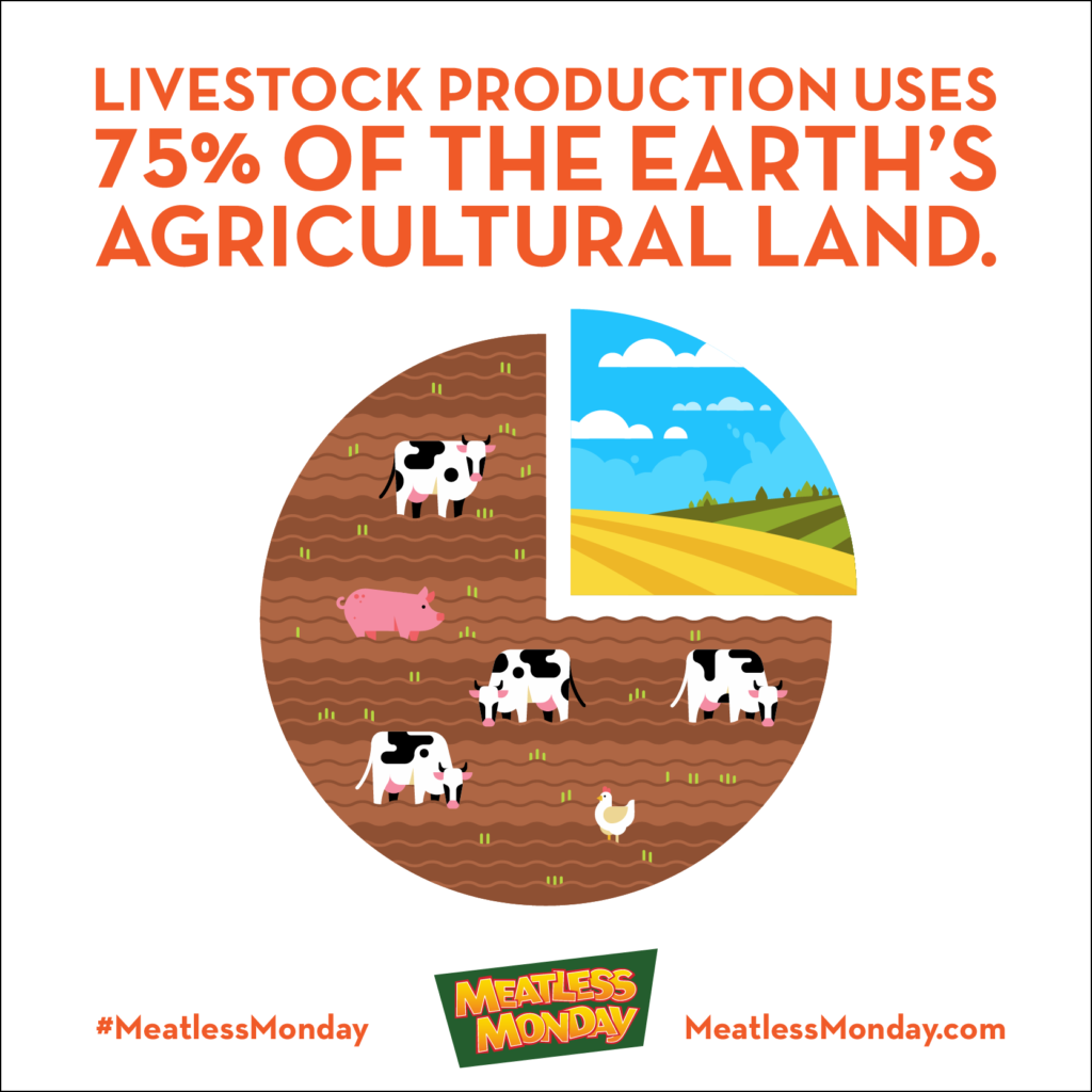 mm livestock agricultural