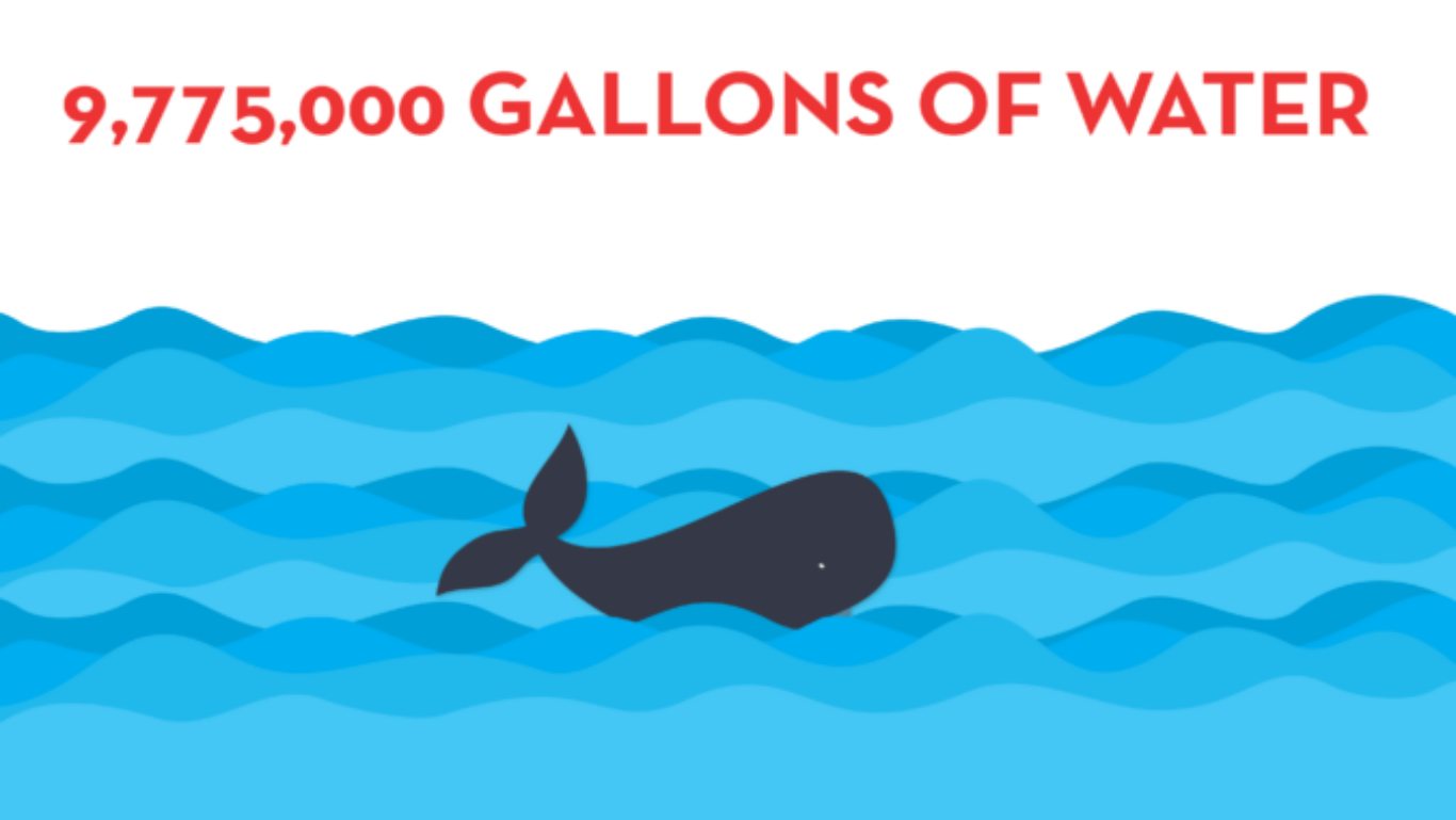 Meatless Monday Meatless Monday