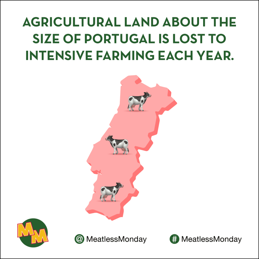 Environmental Research About Meatless Monday Meatless Monday