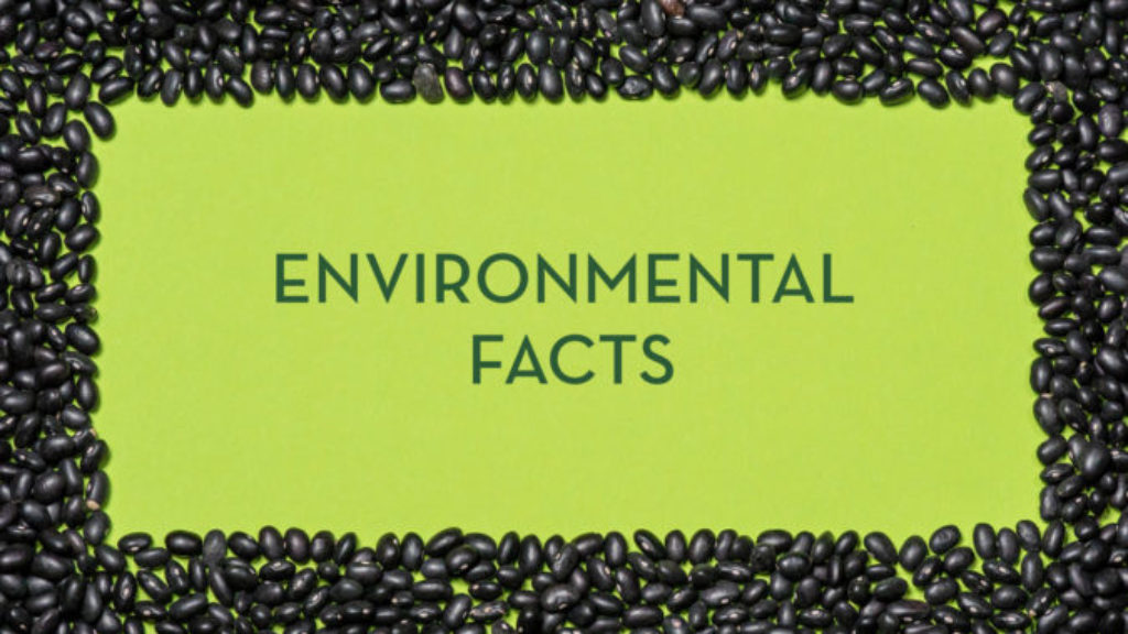 Beans Resources Meatless Monday