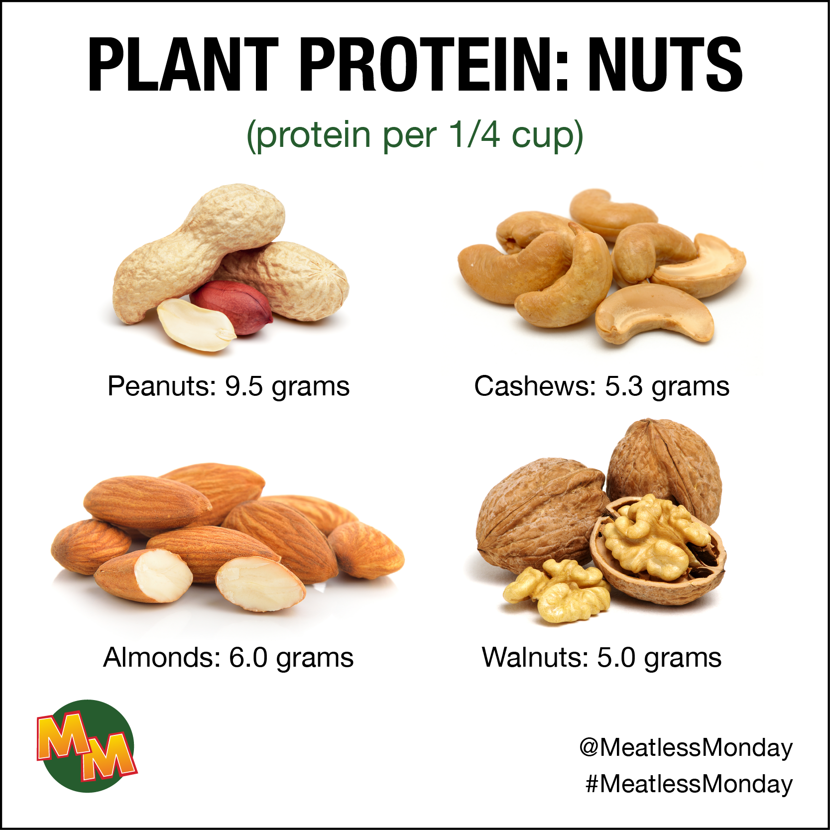 Plant protein: nuts